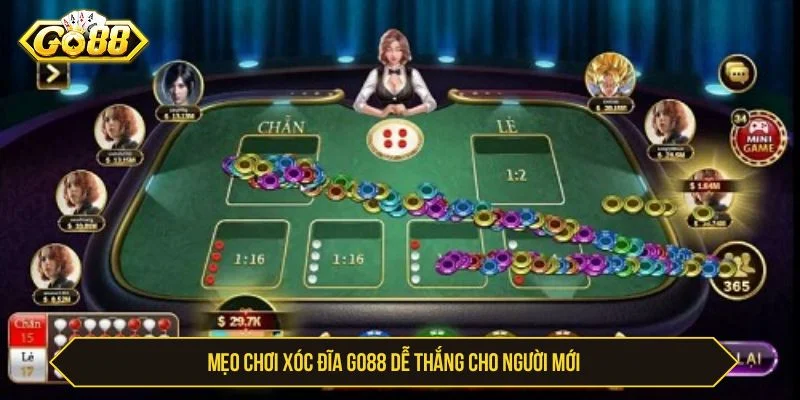 Người chơi nên quản lý vốn khi tham gia xóc đĩa GO88